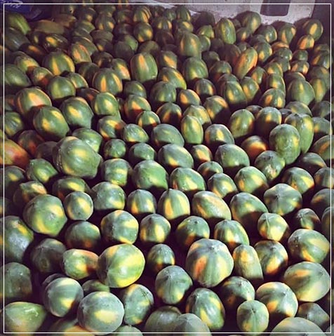 plantation in sri lanka